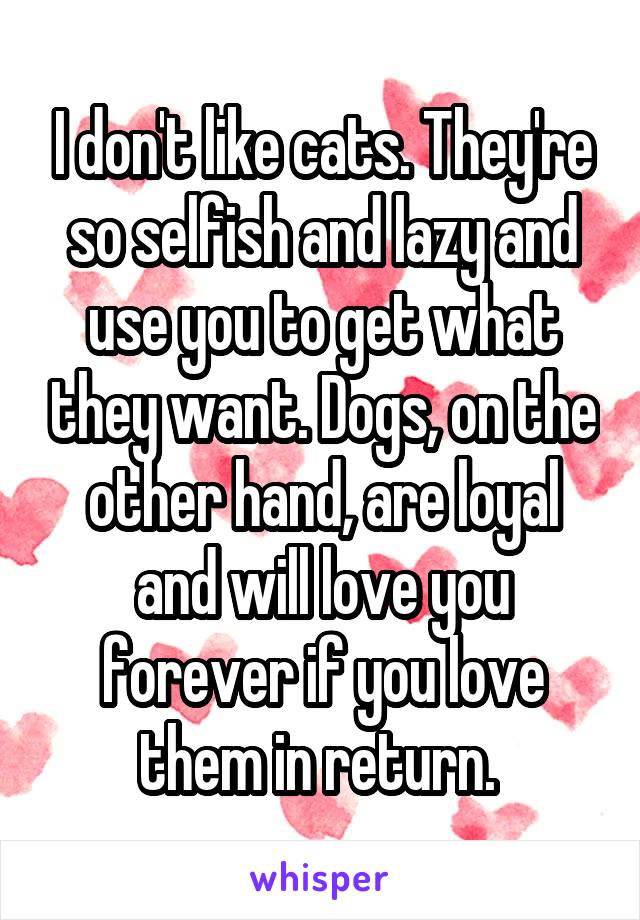 I don't like cats. They're so selfish and lazy and use you to get what they want. Dogs, on the other hand, are loyal and will love you forever if you love them in return. 