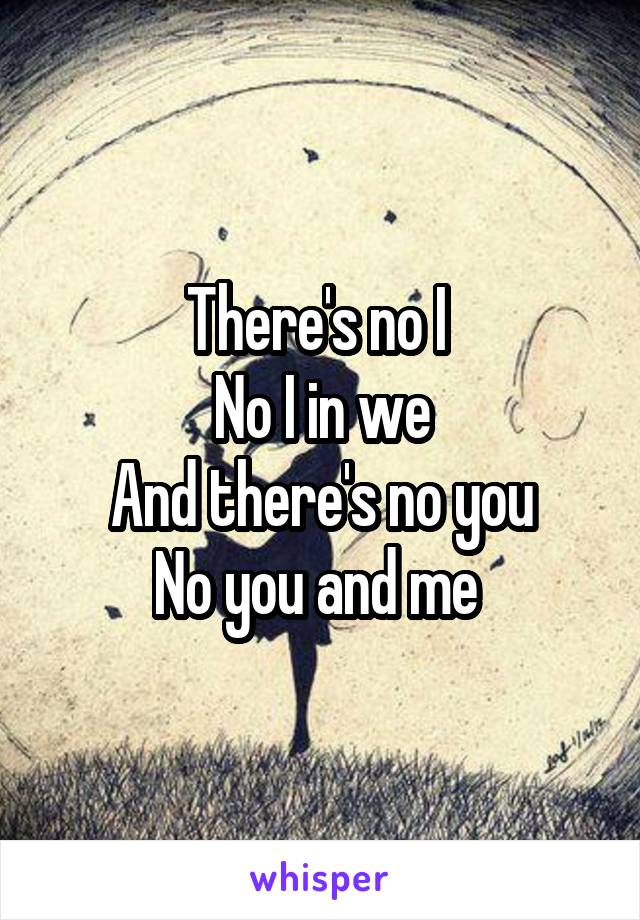 There's no I 
No I in we
And there's no you
No you and me 