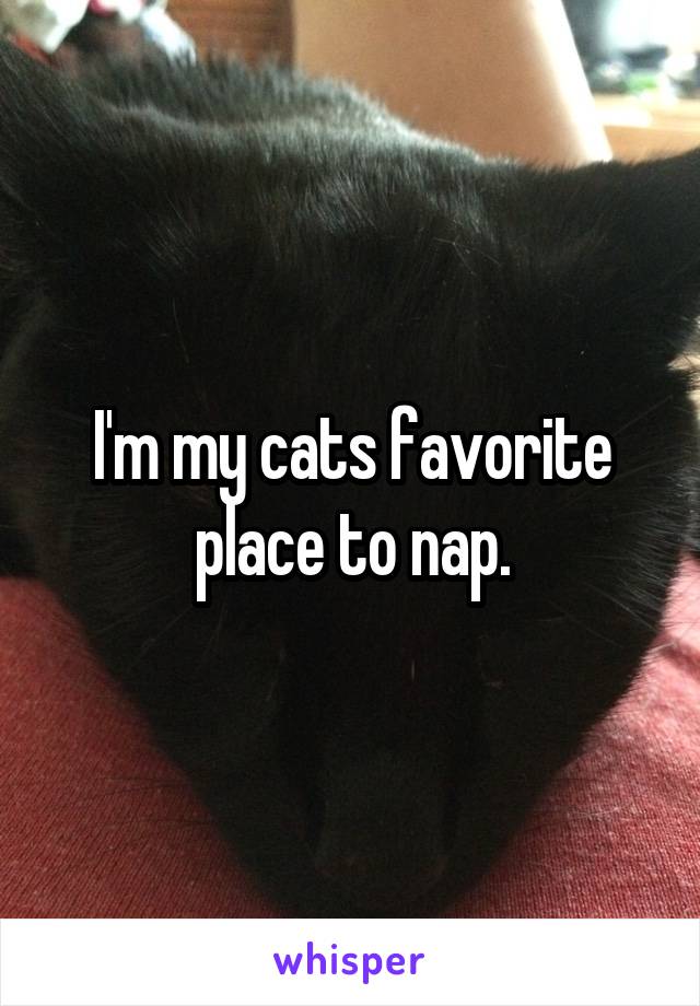 I'm my cats favorite place to nap.