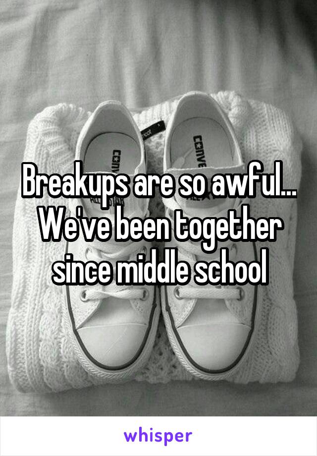 Breakups are so awful... We've been together since middle school