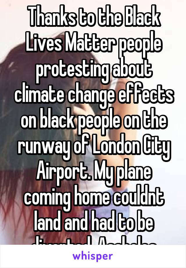 Thanks to the Black Lives Matter people protesting about climate change effects on black people on the runway of London City Airport. My plane coming home couldnt land and had to be diverted. Assholes