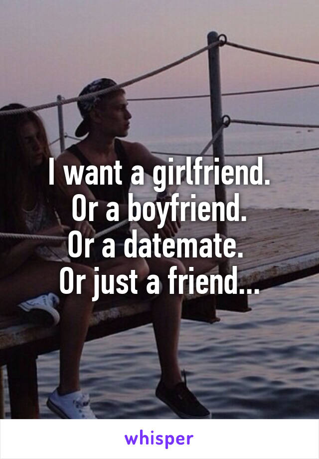 I want a girlfriend.
Or a boyfriend.
Or a datemate. 
Or just a friend...