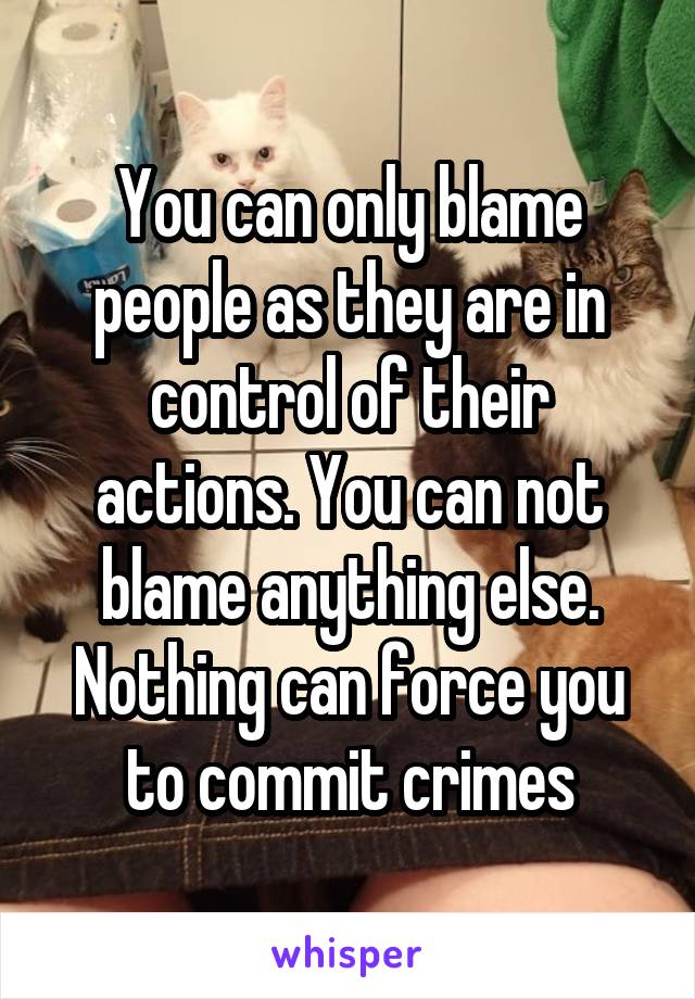 You can only blame people as they are in control of their actions. You can not blame anything else. Nothing can force you to commit crimes