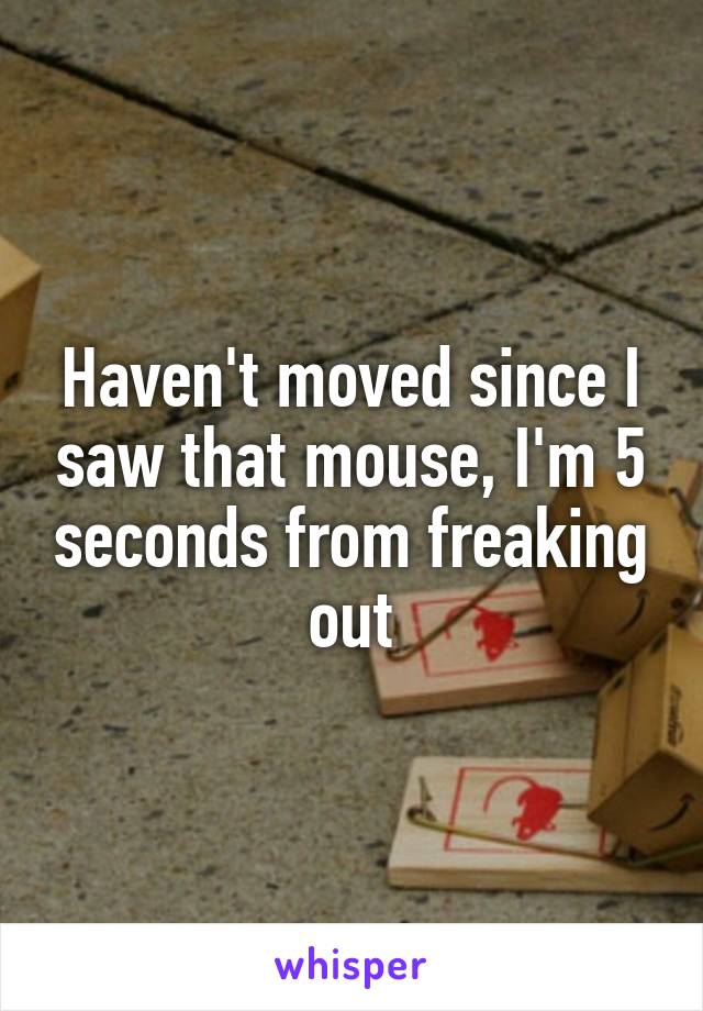 Haven't moved since I saw that mouse, I'm 5 seconds from freaking out
