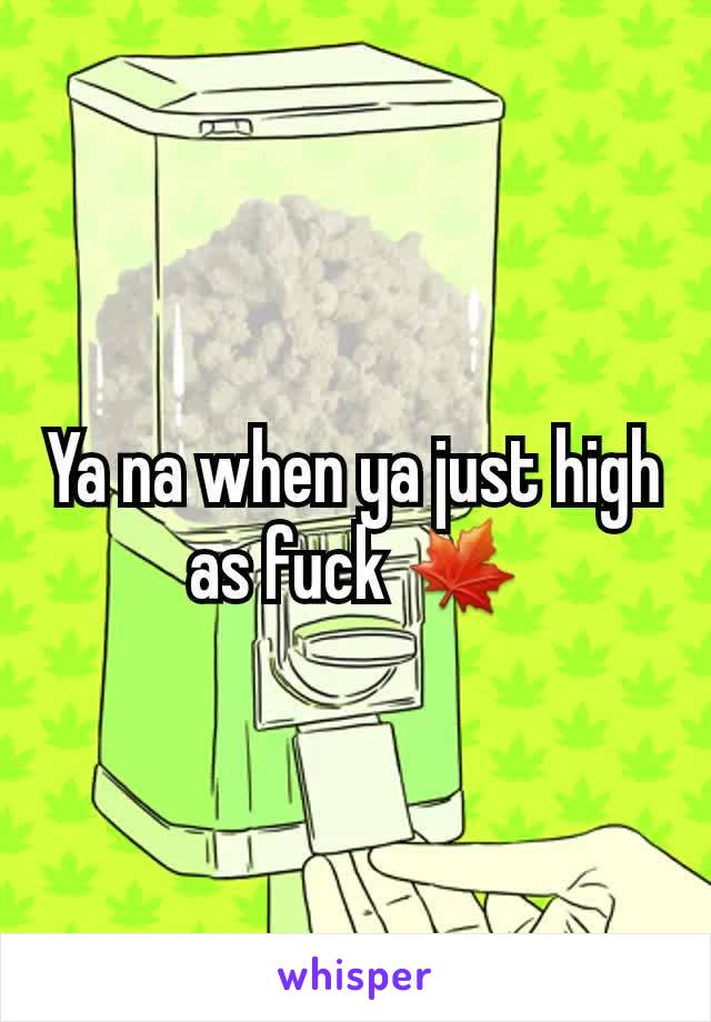 Ya na when ya just high as fuck 🍁