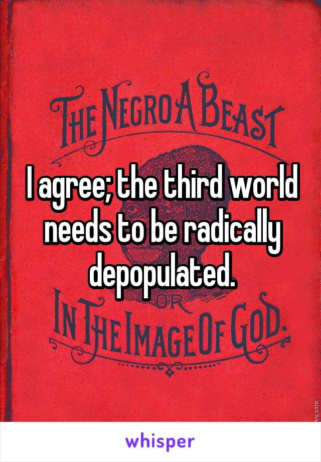 I agree; the third world needs to be radically depopulated.