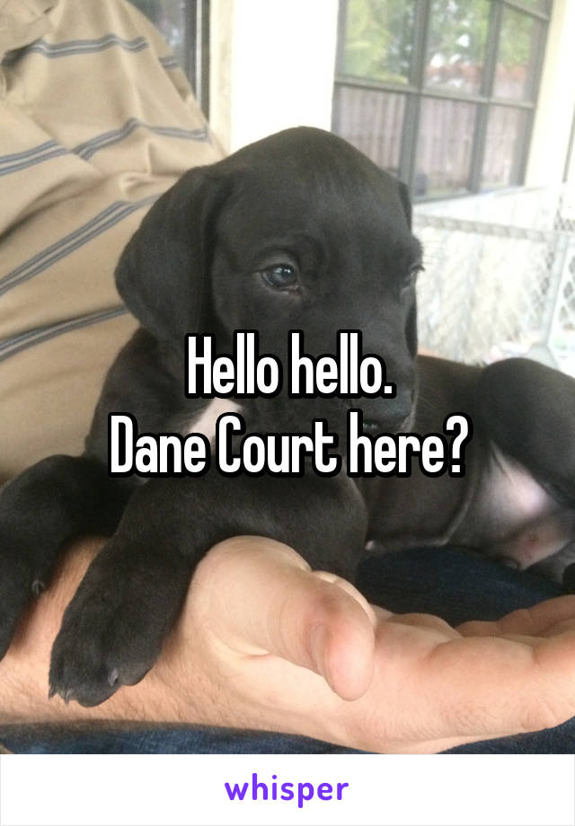 Hello hello.
Dane Court here?