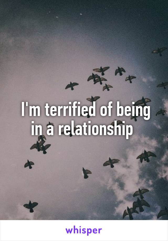  I'm terrified of being in a relationship 