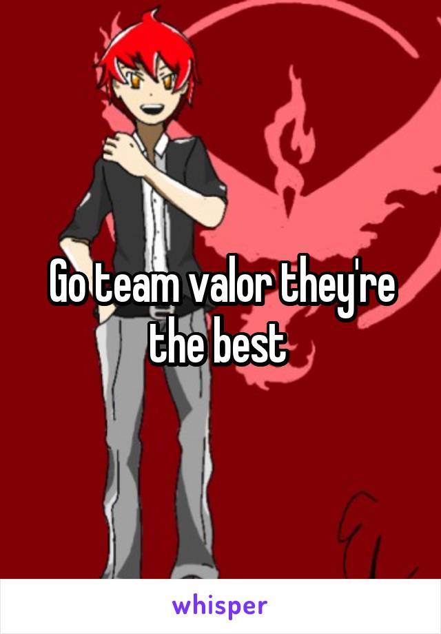 Go team valor they're the best 