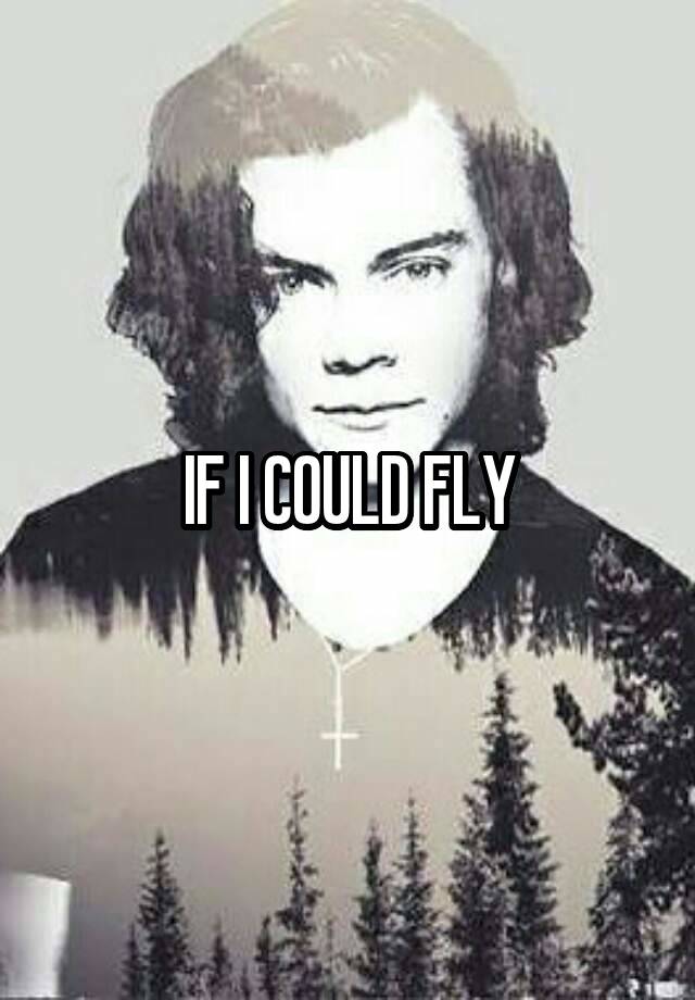 if-i-could-fly