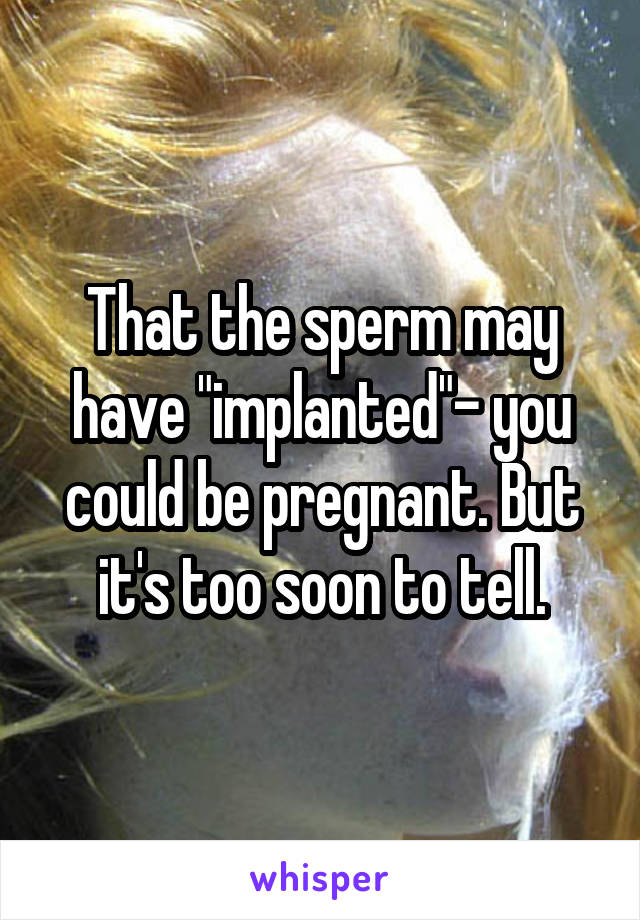 That the sperm may have "implanted"- you could be pregnant. But it's too soon to tell.