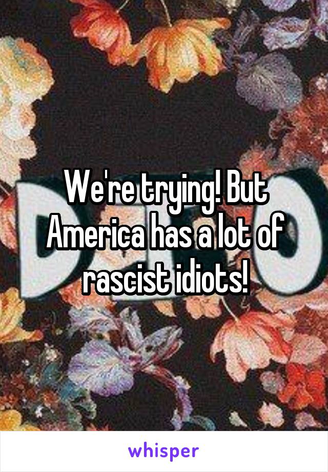 We're trying! But America has a lot of rascist idiots!