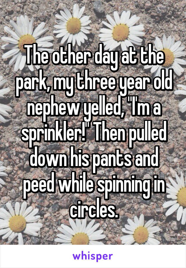 The other day at the park, my three year old nephew yelled, "I'm a sprinkler!" Then pulled down his pants and peed while spinning in circles.