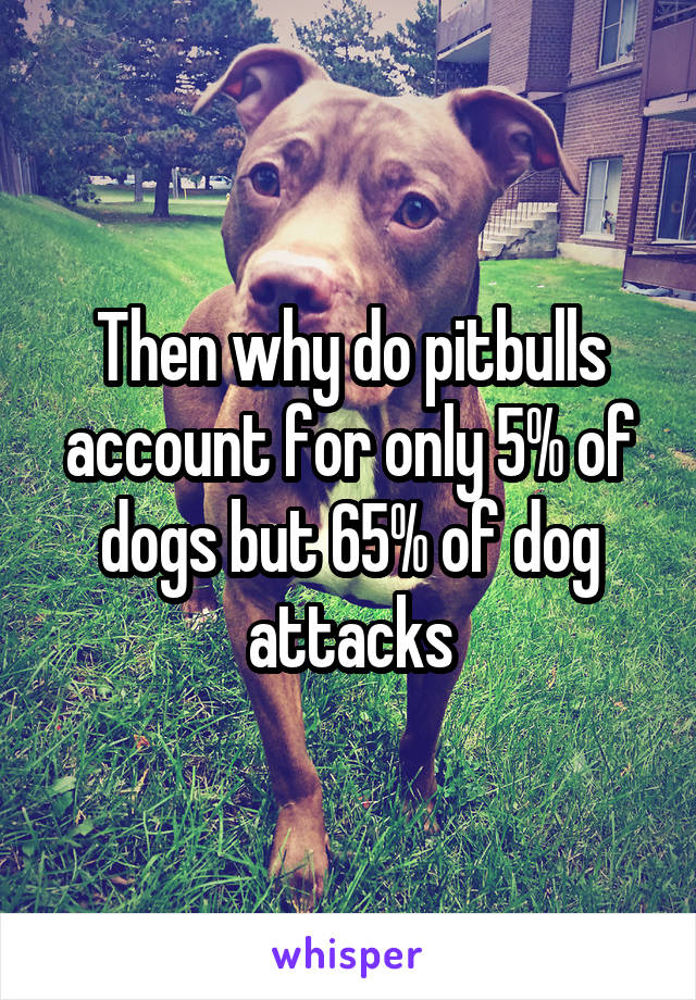 Then why do pitbulls account for only 5% of dogs but 65% of dog attacks