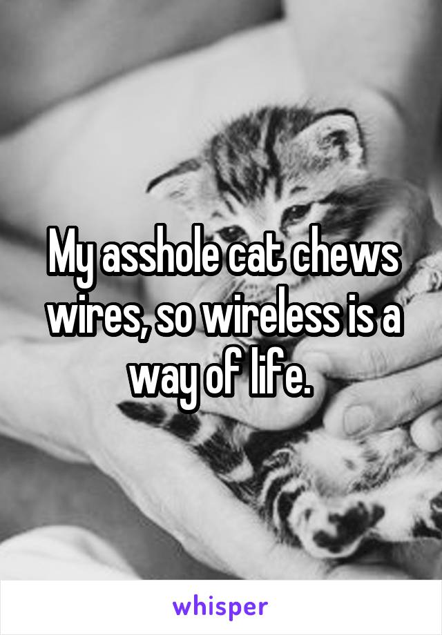 My asshole cat chews wires, so wireless is a way of life. 
