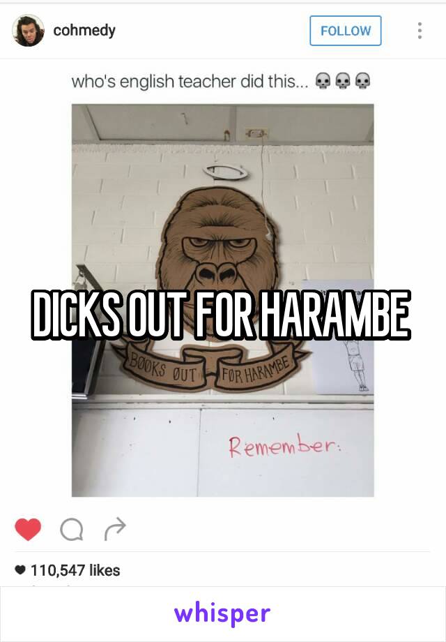 DICKS OUT FOR HARAMBE 