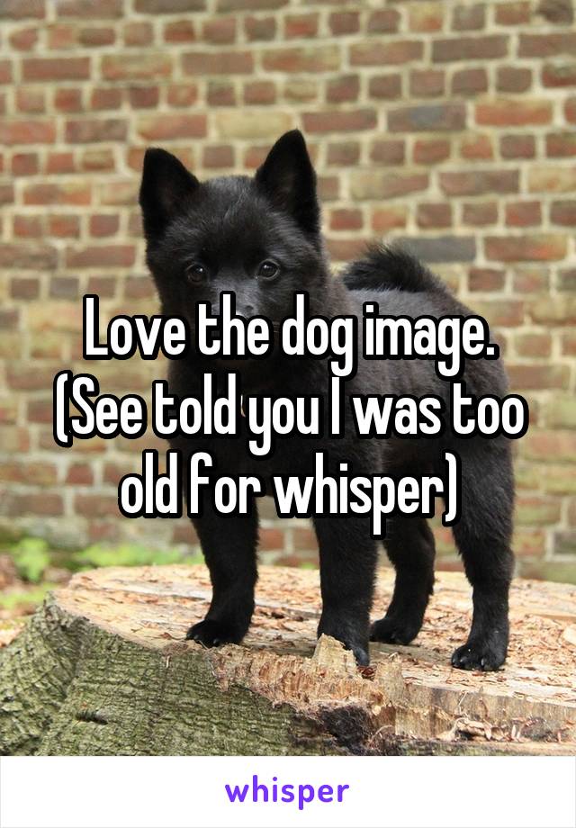 Love the dog image.
(See told you I was too old for whisper)