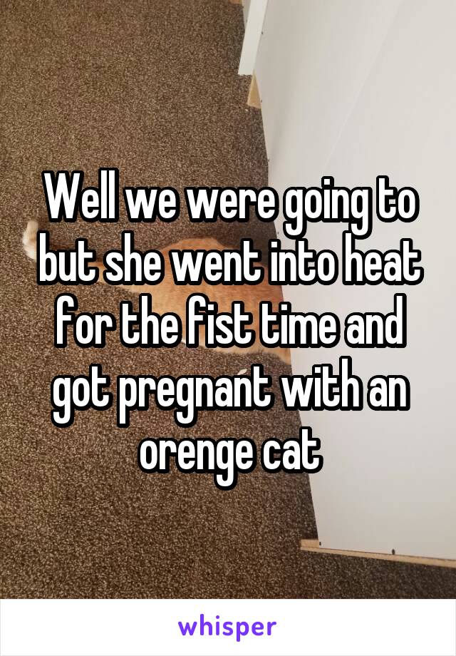 Well we were going to but she went into heat for the fist time and got pregnant with an orenge cat
