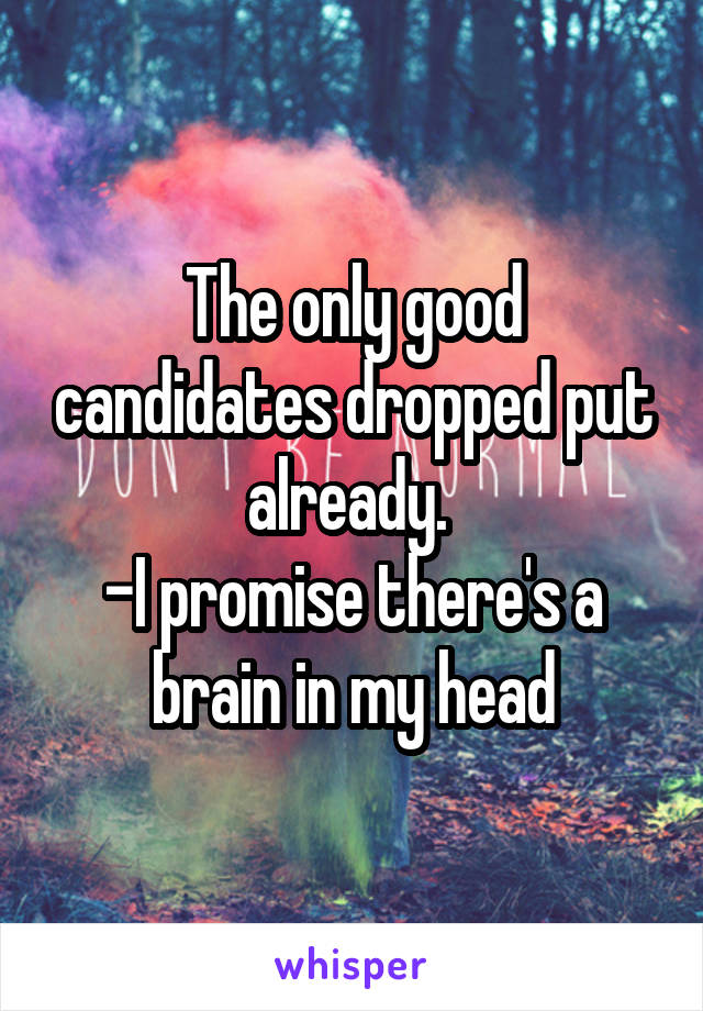 The only good candidates dropped put already. 
-I promise there's a brain in my head