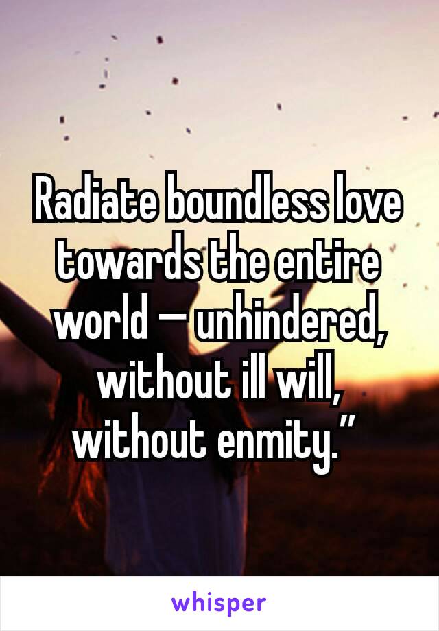 Radiate boundless love towards the entire world — unhindered, without ill will, without enmity.” 