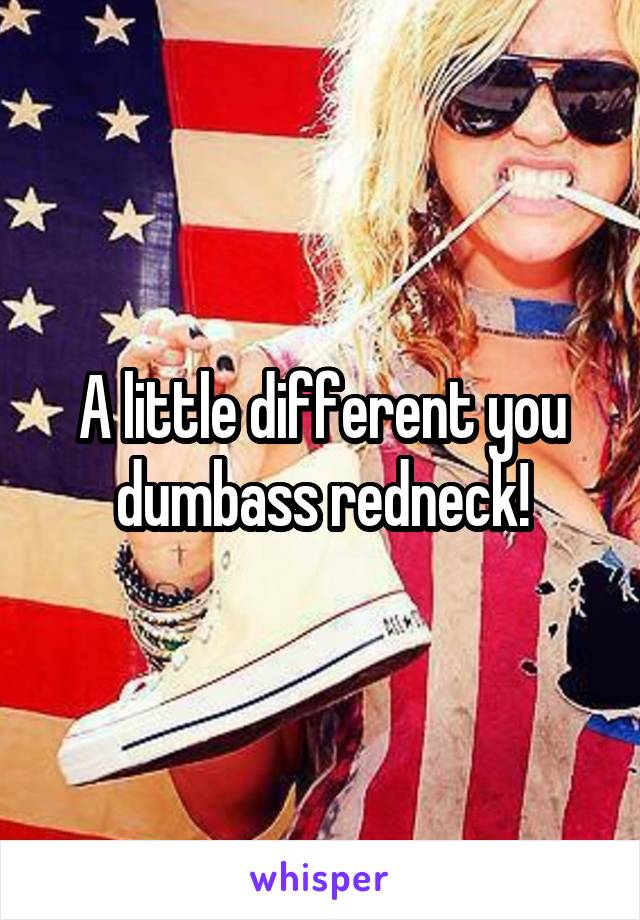 A little different you dumbass redneck!