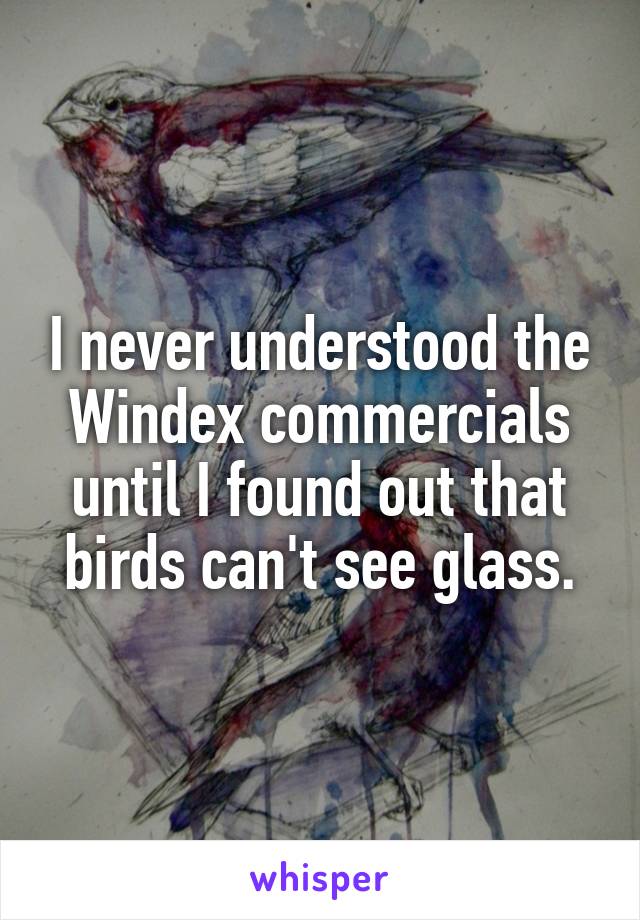 I never understood the Windex commercials until I found out that birds can't see glass.