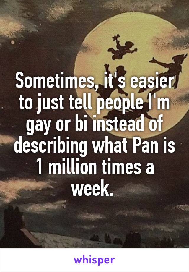 Sometimes, it's easier to just tell people I'm gay or bi instead of describing what Pan is 1 million times a week. 