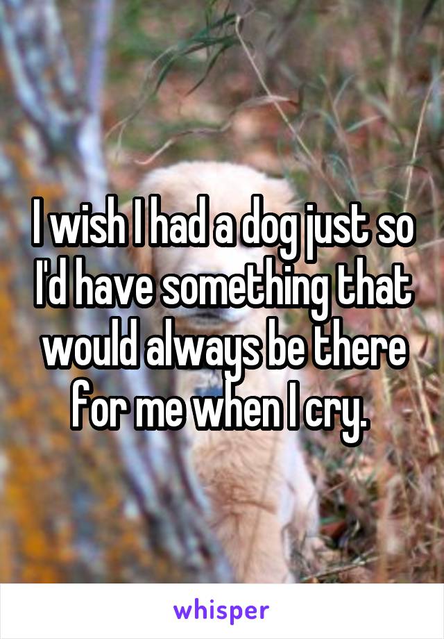 I wish I had a dog just so I'd have something that would always be there for me when I cry. 