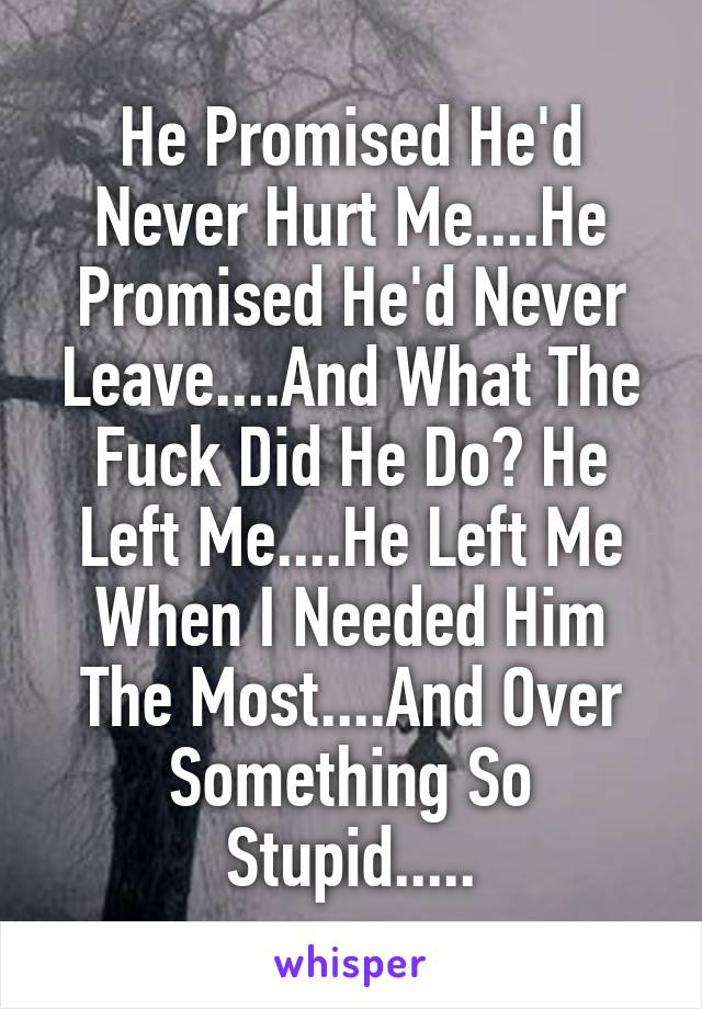 He Promised He'd Never Hurt Me....He Promised He'd Never Leave....And What The Fuck Did He Do? He Left Me....He Left Me When I Needed Him The Most....And Over Something So Stupid.....