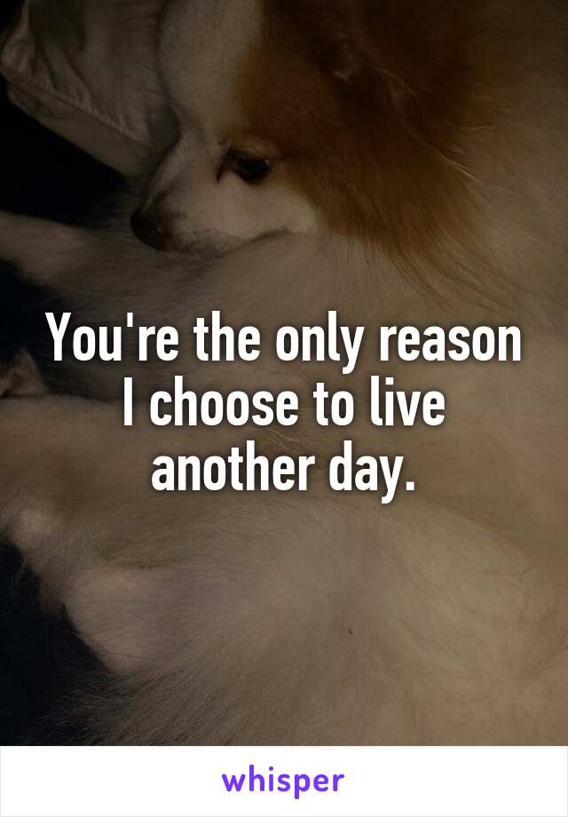 You're the only reason I choose to live another day.