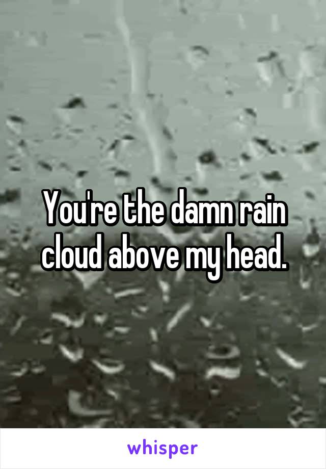 You're the damn rain cloud above my head.