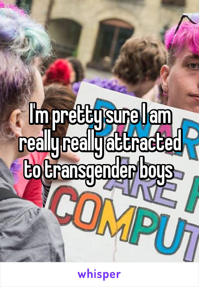 I'm pretty sure I am really really attracted to transgender boys 