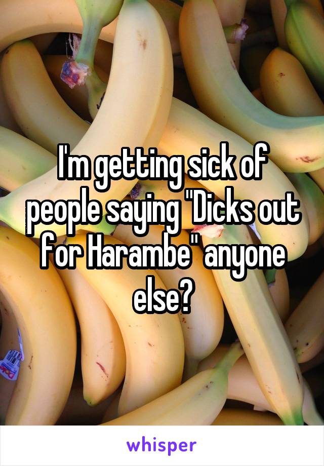 I'm getting sick of people saying "Dicks out for Harambe" anyone else?