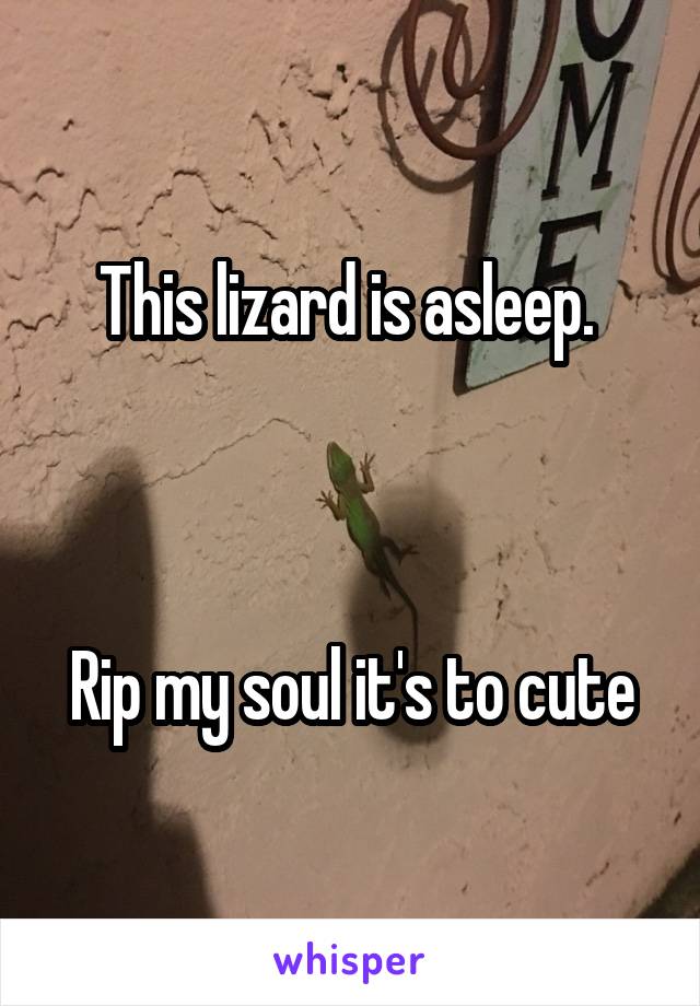 This lizard is asleep. 



Rip my soul it's to cute