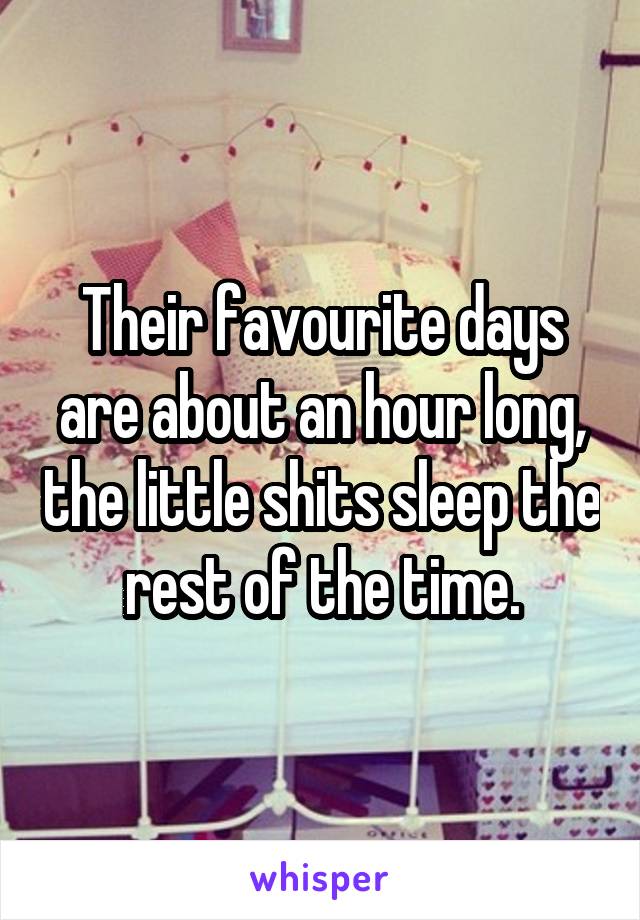 Their favourite days are about an hour long, the little shits sleep the rest of the time.