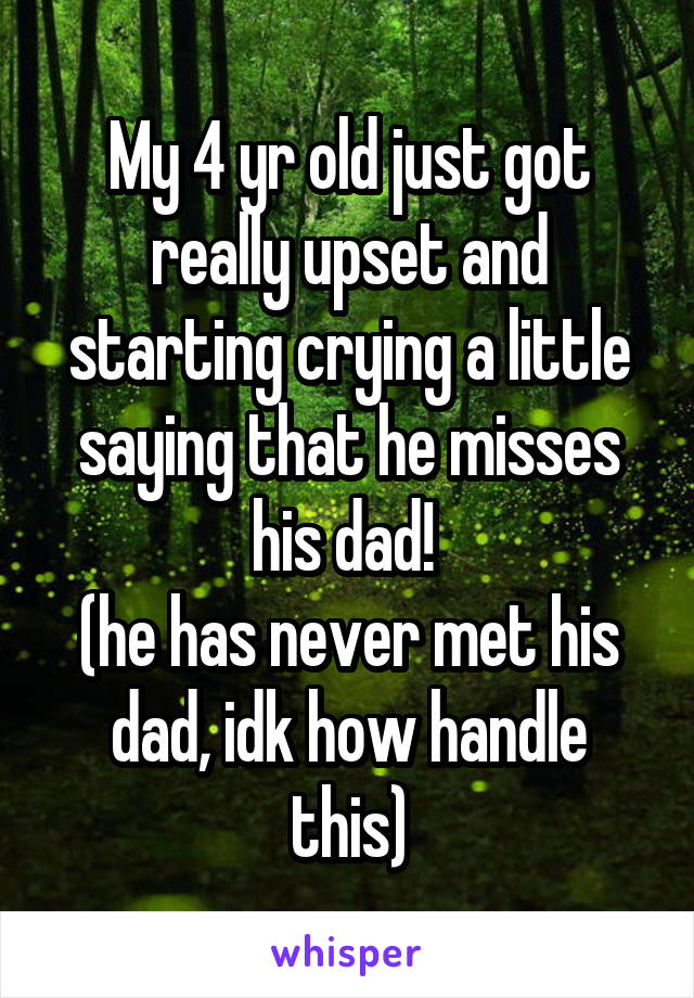 My 4 yr old just got really upset and starting crying a little saying that he misses his dad! 
(he has never met his dad, idk how handle this)