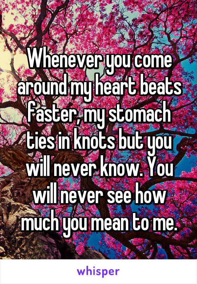 Whenever you come around my heart beats faster, my stomach ties in knots but you will never know. You will never see how much you mean to me.