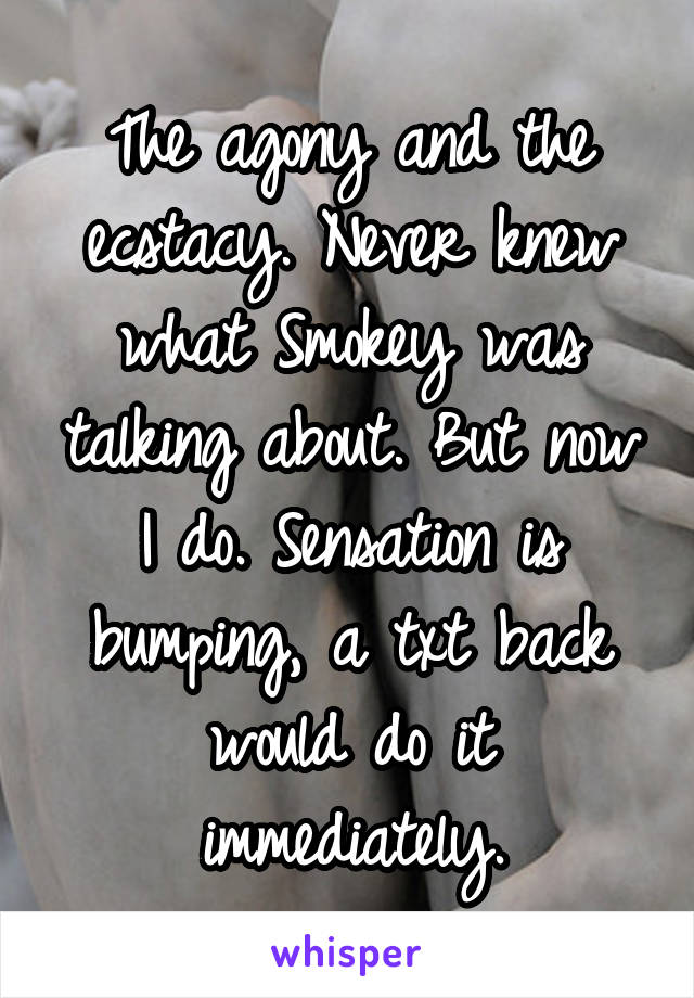 The agony and the ecstacy. Never knew what Smokey was talking about. But now I do. Sensation is bumping, a txt back would do it immediately.