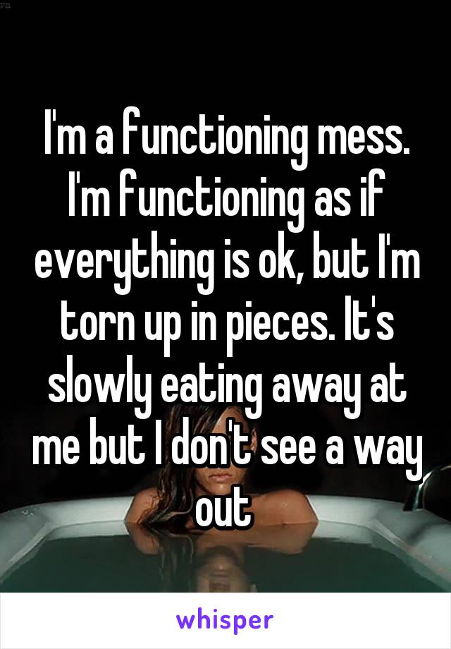 I'm a functioning mess. I'm functioning as if everything is ok, but I'm torn up in pieces. It's slowly eating away at me but I don't see a way out 