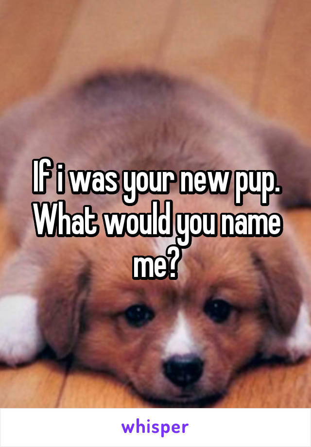 If i was your new pup. What would you name me?