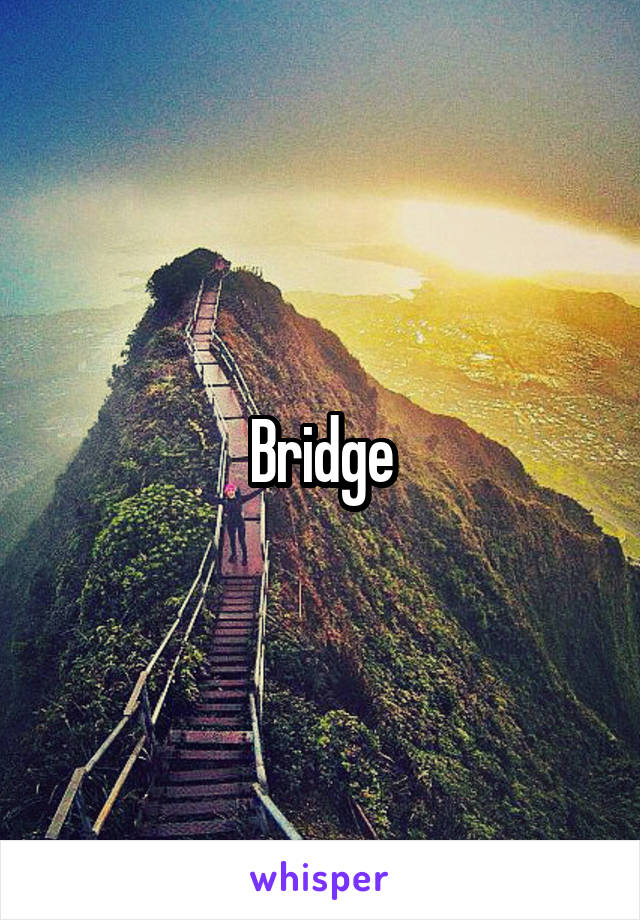 Bridge