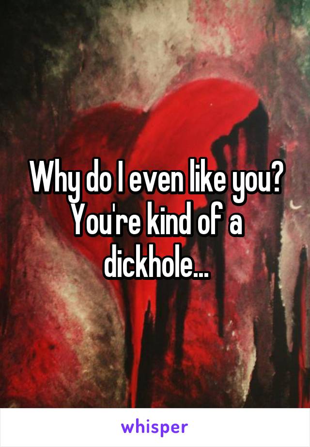 Why do I even like you? You're kind of a dickhole...