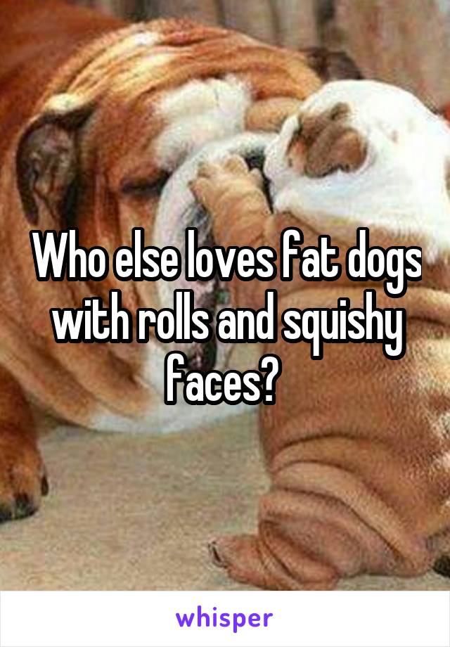 Who else loves fat dogs with rolls and squishy faces? 