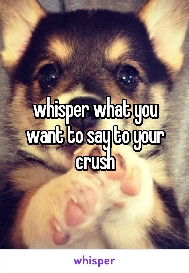 whisper what you want to say to your crush