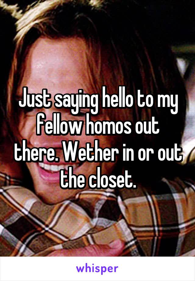 Just saying hello to my fellow homos out there. Wether in or out the closet.