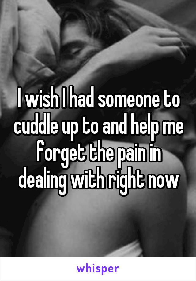 I wish I had someone to cuddle up to and help me forget the pain in dealing with right now