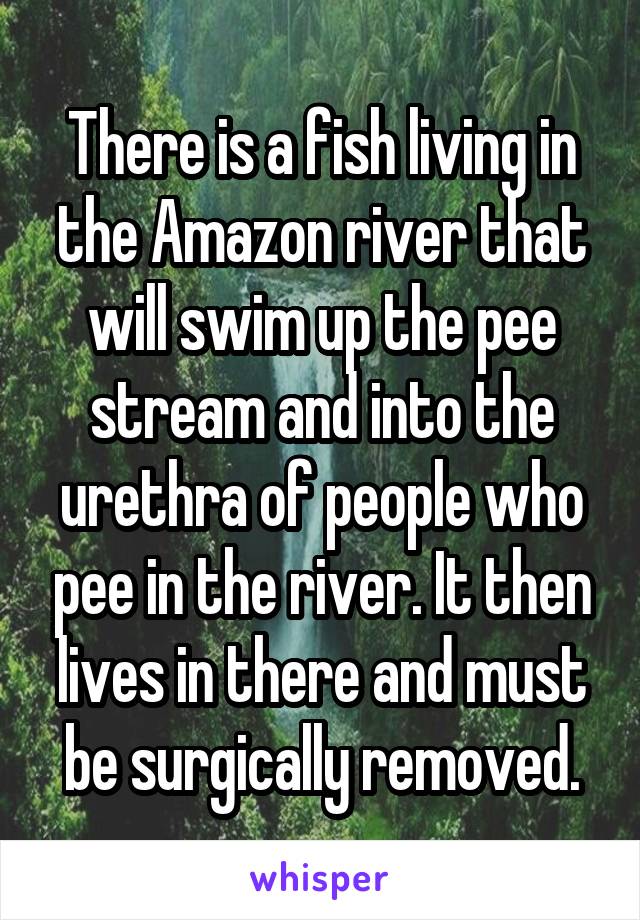 There is a fish living in the Amazon river that will swim up the pee stream and into the urethra of people who pee in the river. It then lives in there and must be surgically removed.