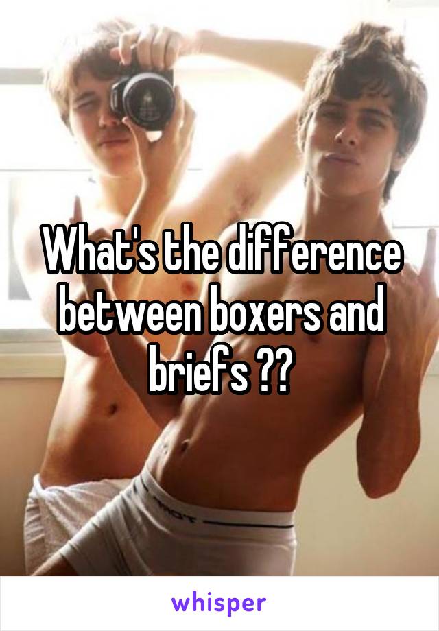 What's the difference between boxers and briefs ??