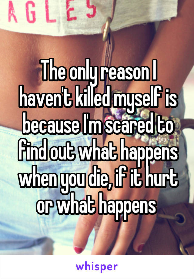 The only reason I haven't killed myself is because I'm scared to find out what happens when you die, if it hurt or what happens 