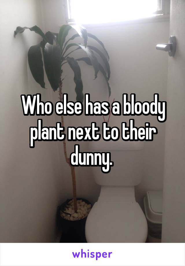 Who else has a bloody plant next to their dunny. 